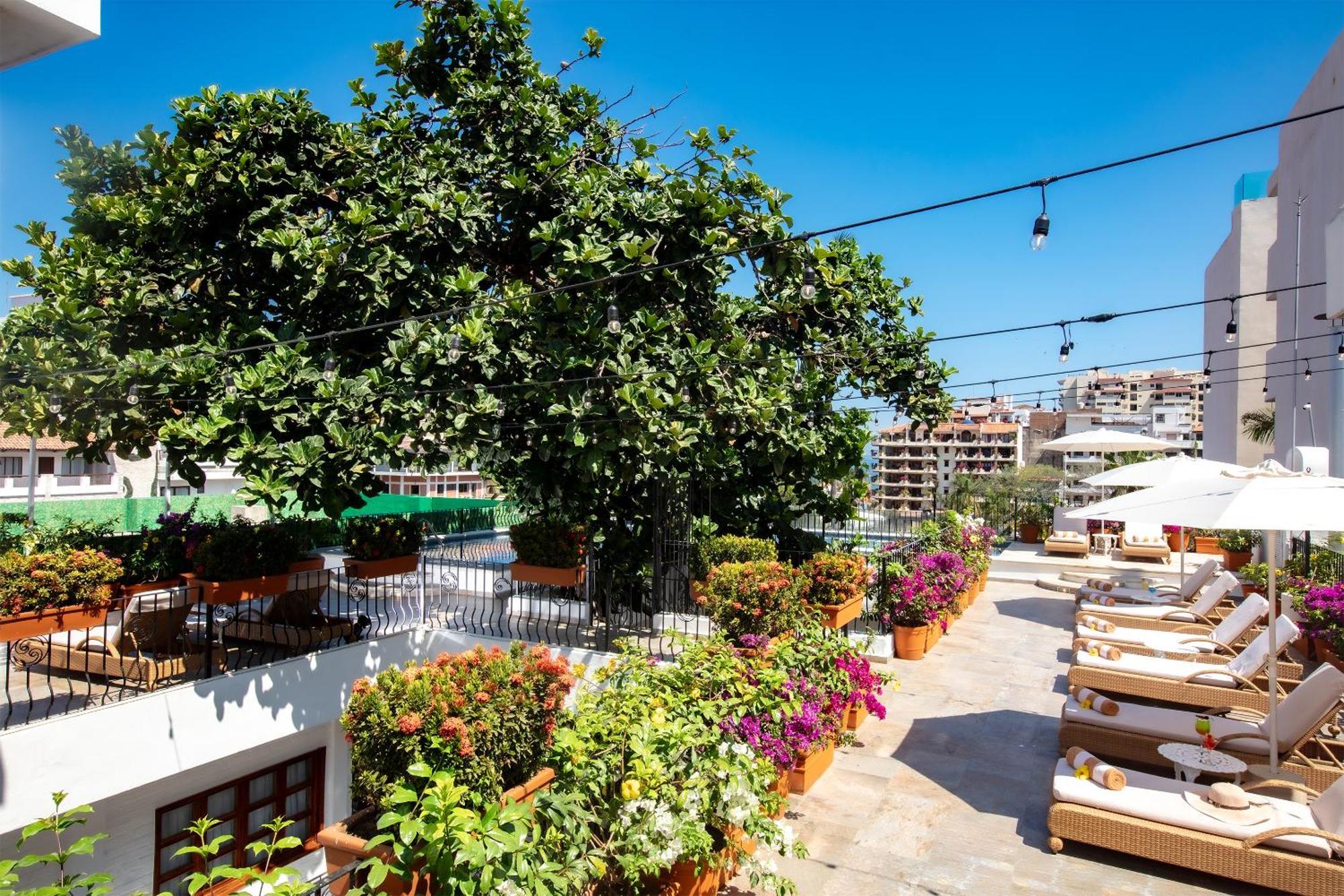 Casa Dona Susana (Adults Only) Puerto Vallarta Eksteriør billede